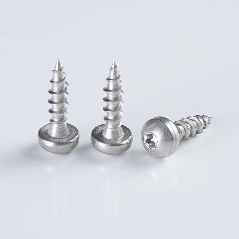10-16×16-25 SS304 Stainless Steel Pan Head Torx Drive Self-tapping Screw