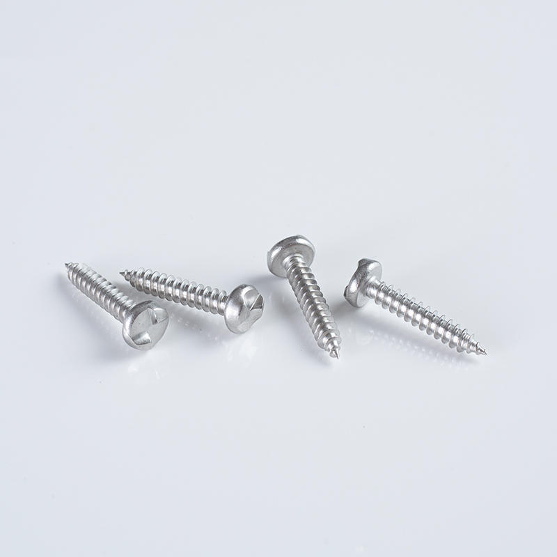 SS304 Security S-Type Round Head Screw 10-16×25-35 A2
